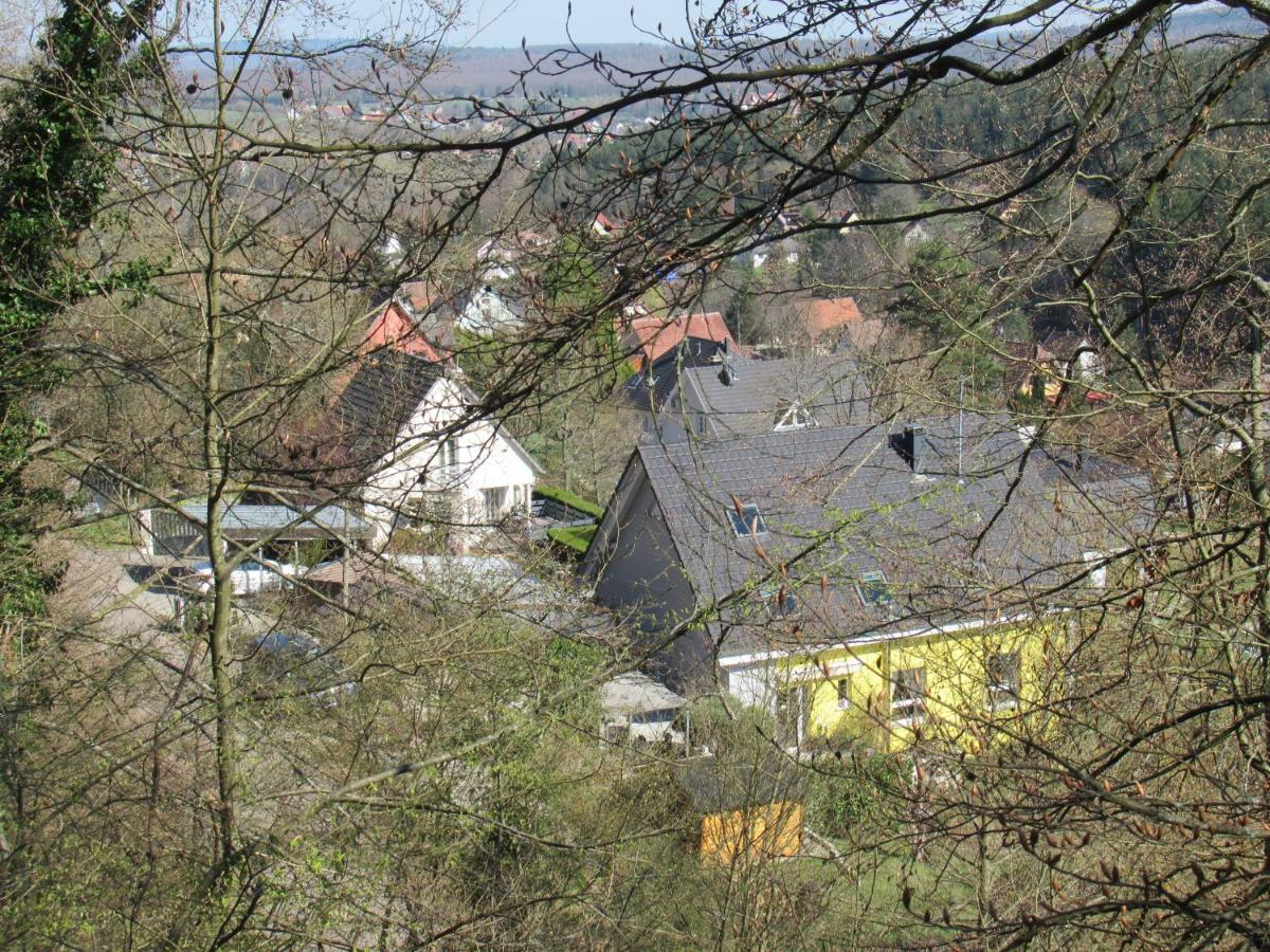 Le Clos d'Auré. Oberhaslach Esterno foto