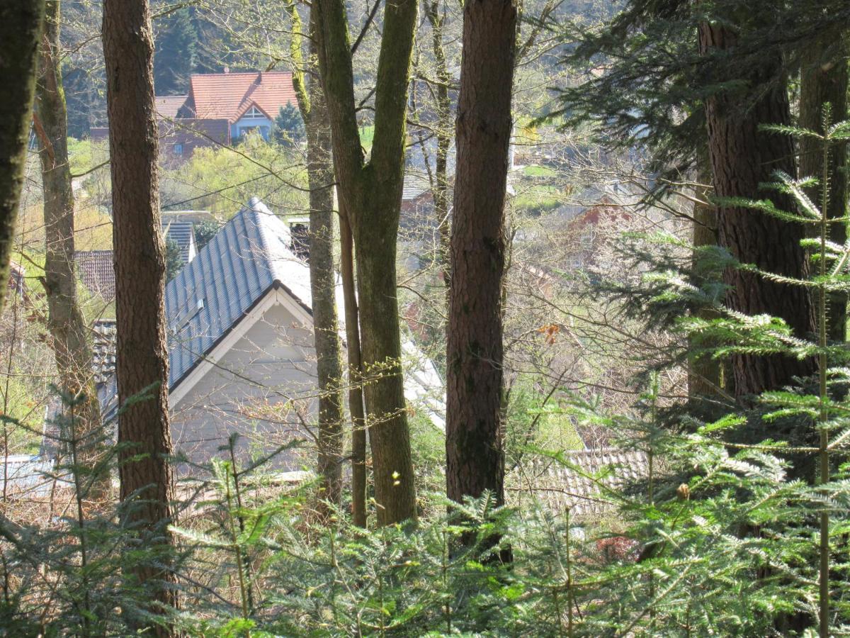 Le Clos d'Auré. Oberhaslach Esterno foto