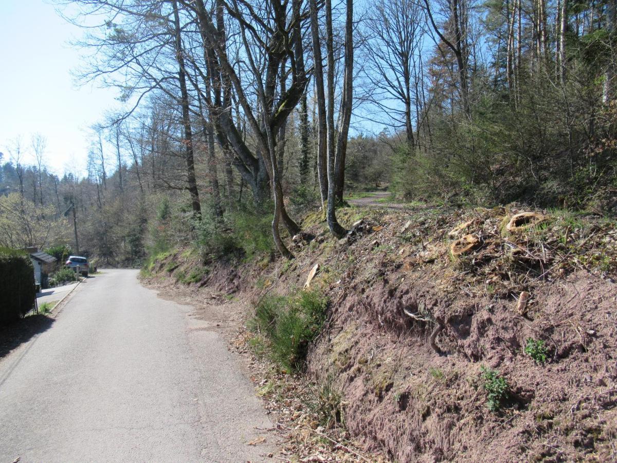 Le Clos d'Auré. Oberhaslach Esterno foto