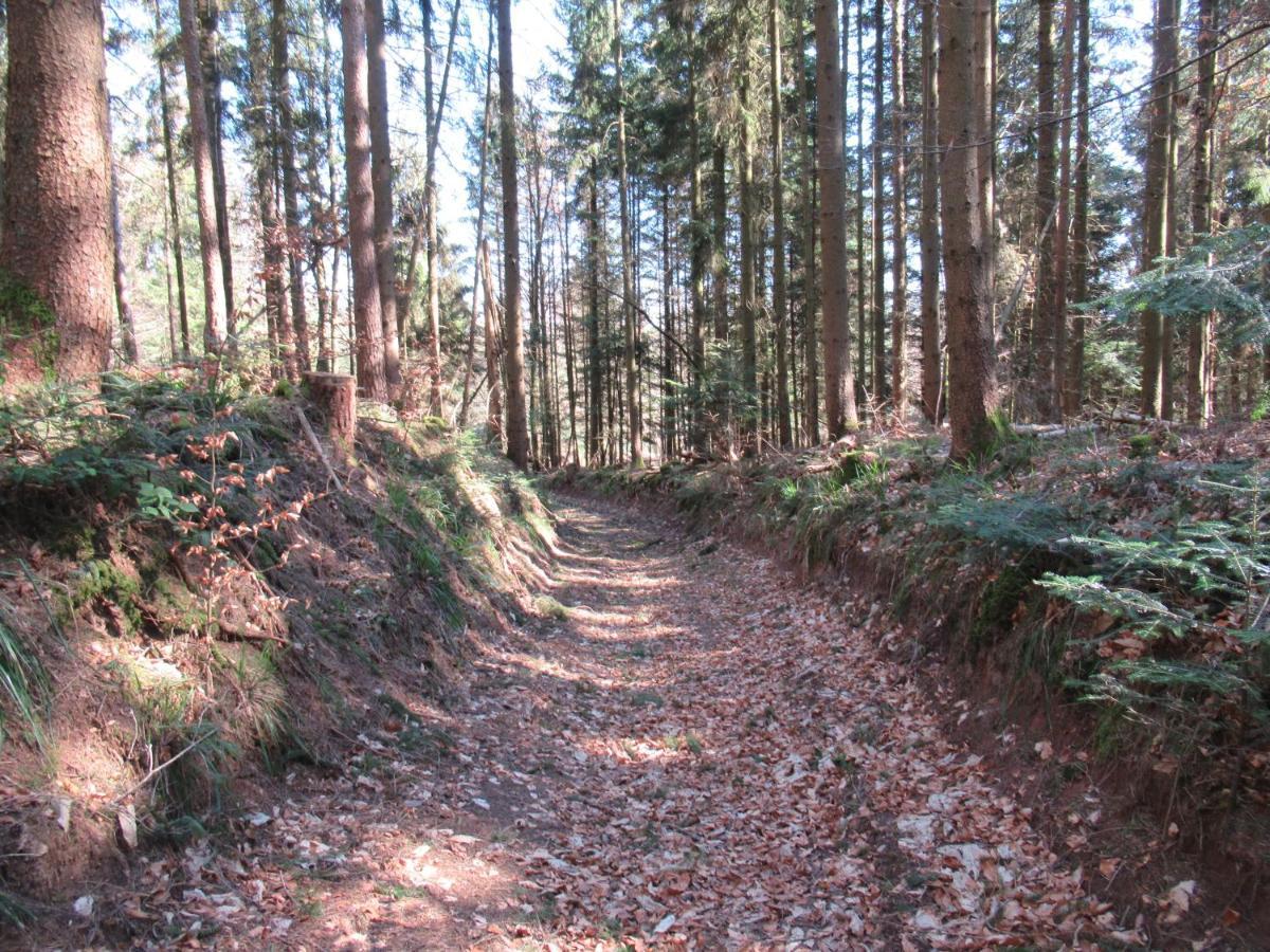 Le Clos d'Auré. Oberhaslach Esterno foto