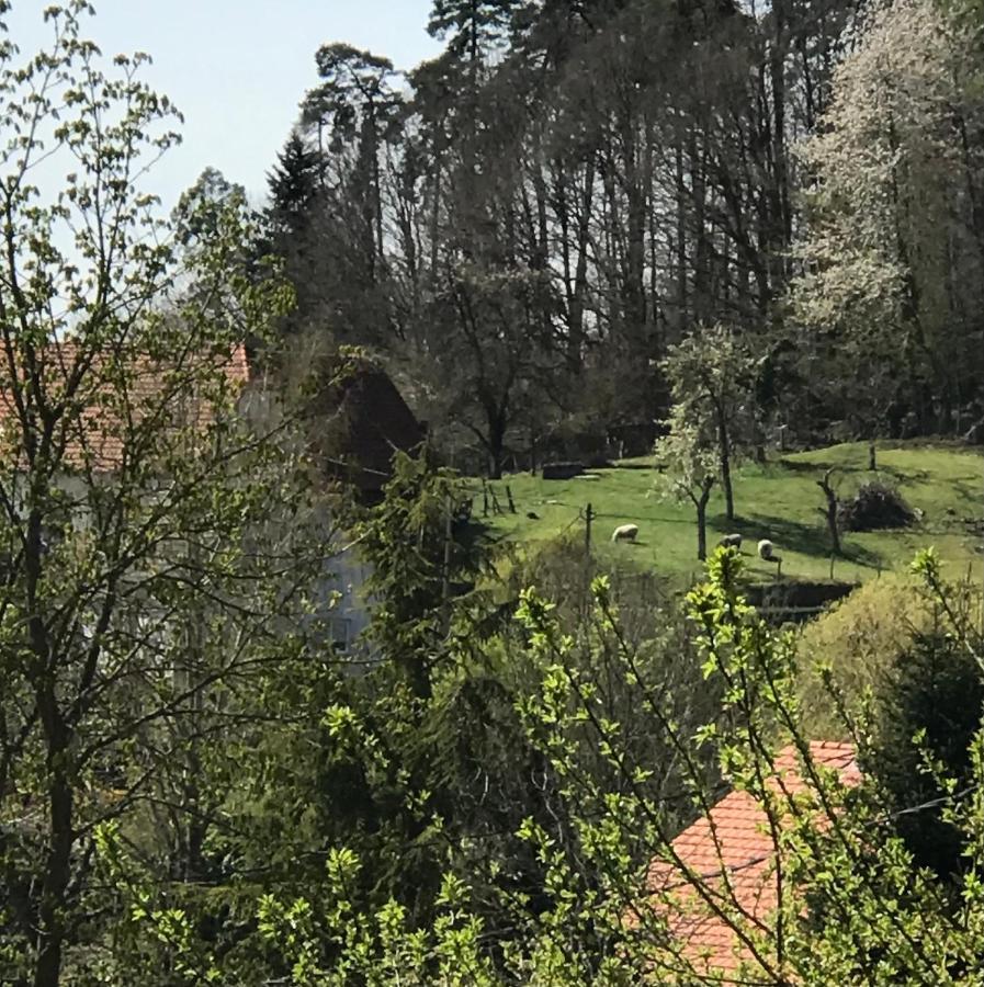 Le Clos d'Auré. Oberhaslach Esterno foto